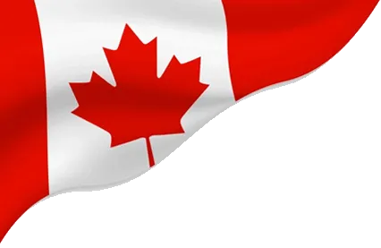 Top SEO Agency in Hamilton