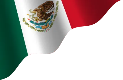 Top SEO Agency in Merida