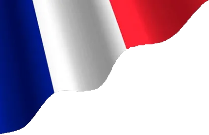 Top SEO Agency in Nice