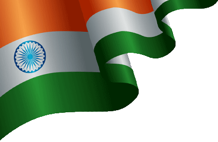 Top SEO Agency in Noida