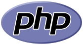 Web Application Development Agency Custom Website Design Kolkata